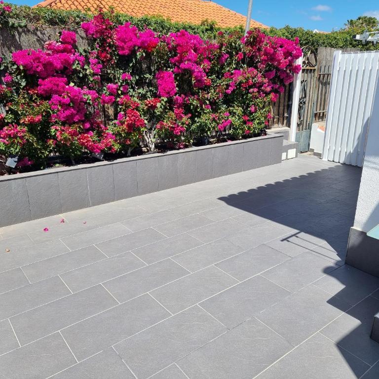 Espacioso Bungalow 2 dormitorios en Maspalomas - Two-Bedroom Apartment - 4