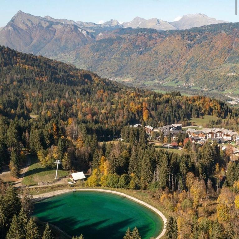 Le LODGE Les Esserts 1100 Morillon - Apartamento de 1 dormitorio - 14