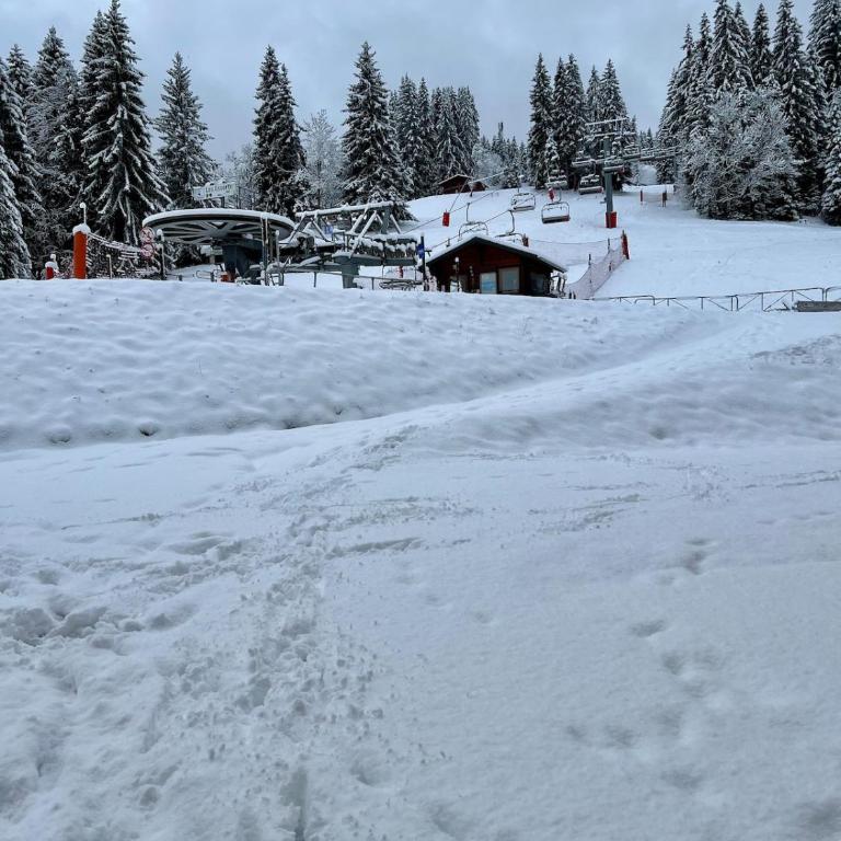 Le LODGE Les Esserts 1100 Morillon - Apartamento de 1 dormitorio - 17