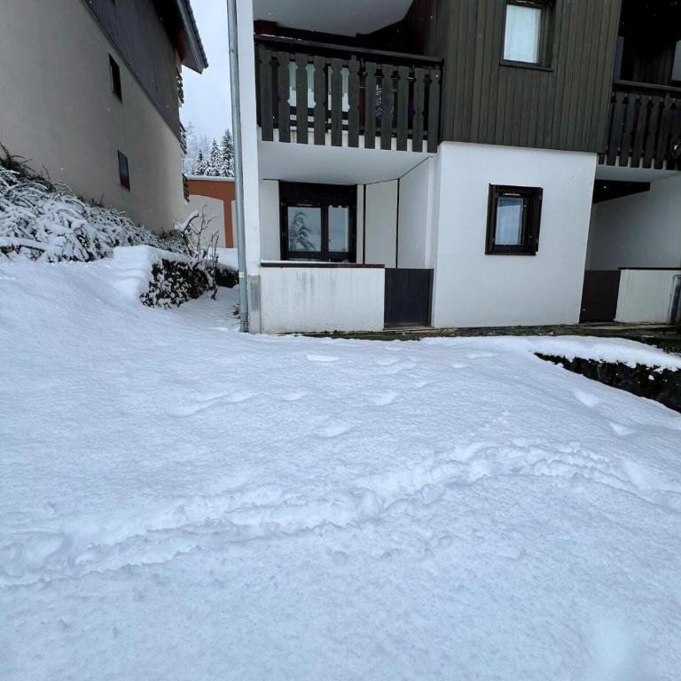Le LODGE Les Esserts 1100 Morillon - Apartamento de 1 dormitorio - 6