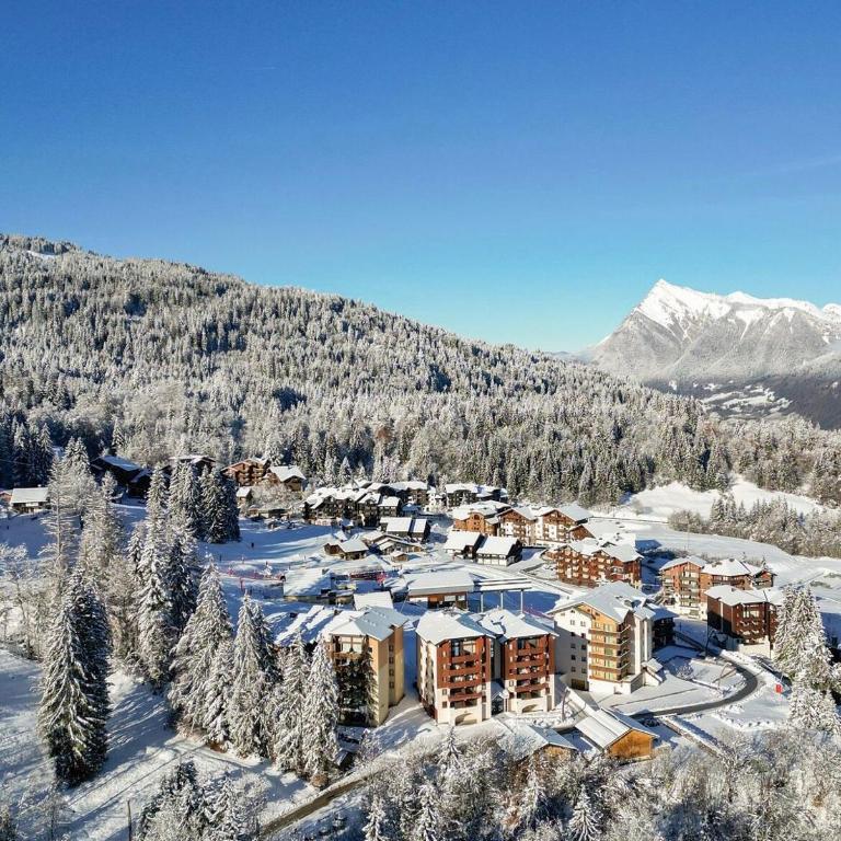 Le LODGE Les Esserts 1100 Morillon - Apartamento de 1 dormitorio - 21