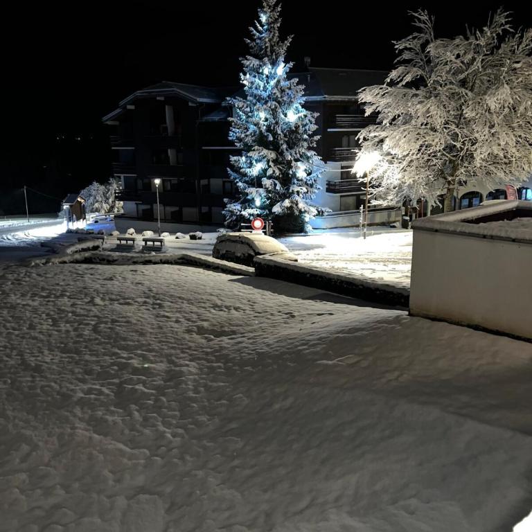 Le LODGE Les Esserts 1100 Morillon - Apartamento de 1 dormitorio - 23