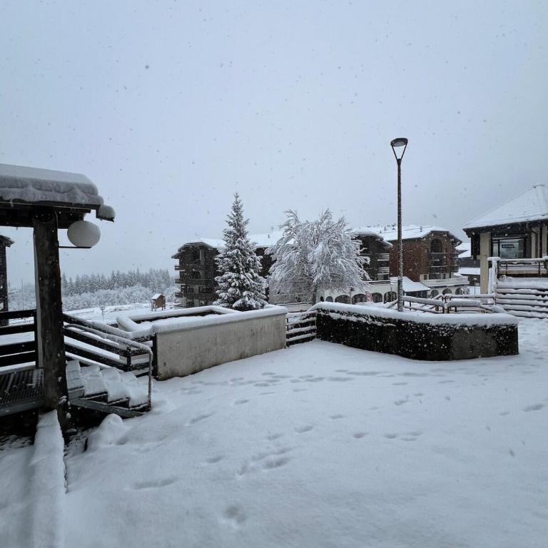Le LODGE Les Esserts 1100 Morillon - Apartamento de 1 dormitorio - 20