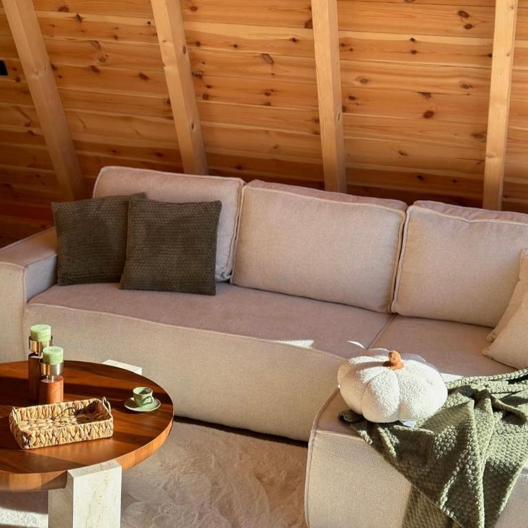 White Forest Durmitor - Two-Bedroom Villa - 17