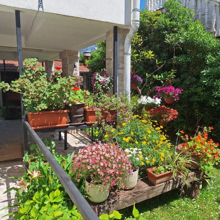 Apartmani Hortenzija - Apartman - 10