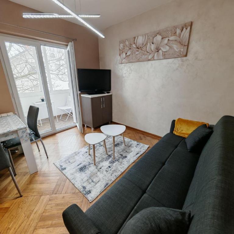 Apartman Miladinović - One-Bedroom Apartment - 8