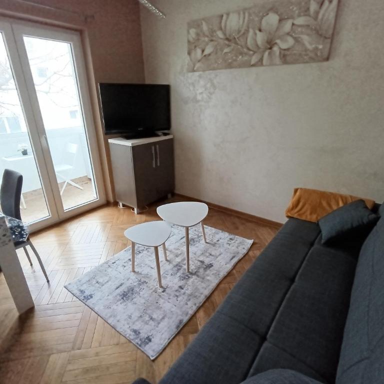 Apartman Miladinović - One-Bedroom Apartment - 5