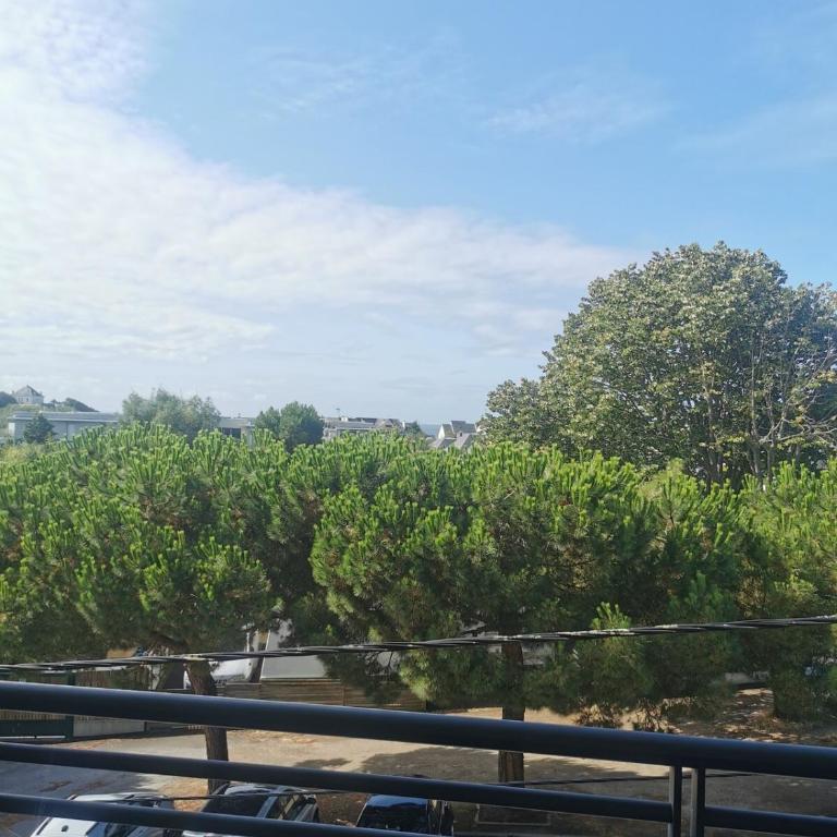 2 pièces lumineux, terrasse exposée sud, proche mer - Appartement 1 Chambre - 12