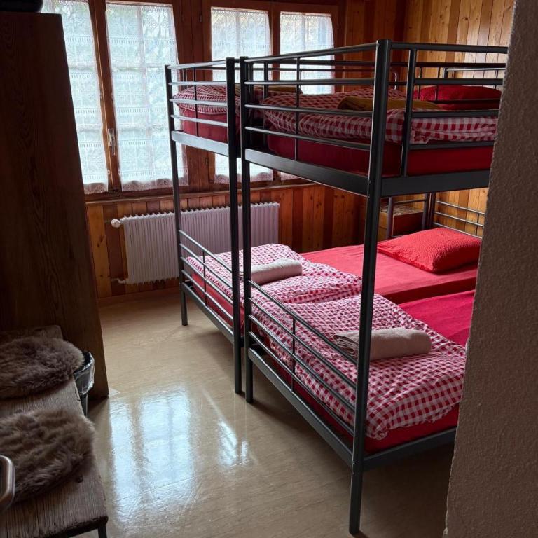 Séjour Edelweiss - Vierbettzimmer - 2