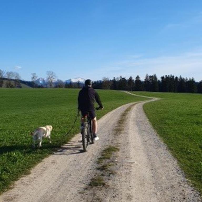Stay Zen Holz & Hirsch Loft - Parkplatz und Hund - Deluxe Apartment - 45