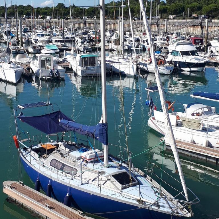 Sailboat land and sea, vegetated - Mobile Home - 1