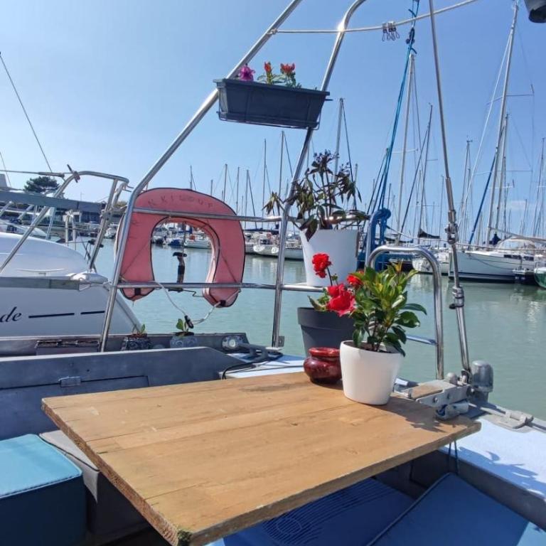 Sailboat land and sea, vegetated - Mobile Home - 7
