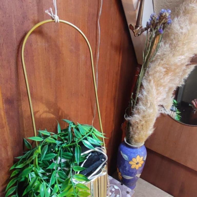 Sailboat land and sea, vegetated - Mobile Home - 10