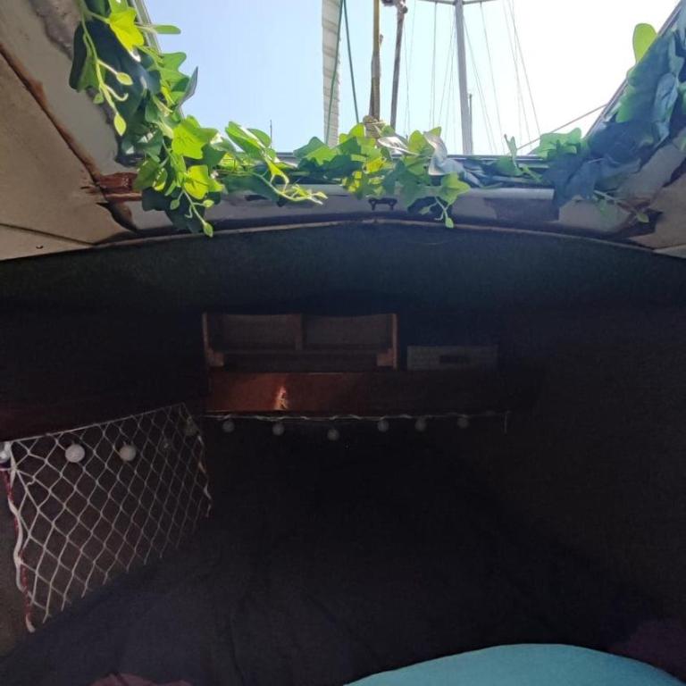 Sailboat land and sea, vegetated - Mobile Home - 12