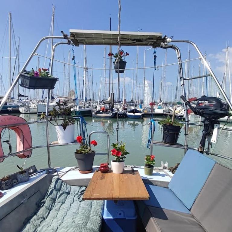 Sailboat land and sea, vegetated - Mobile Home - 5