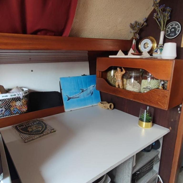 Sailboat land and sea, vegetated - Mobile Home - 17