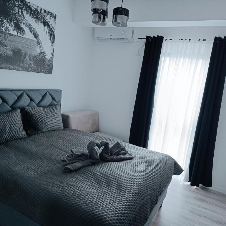 Cozy Home - Apartman sa 1 Spavaćom Sobom - 7