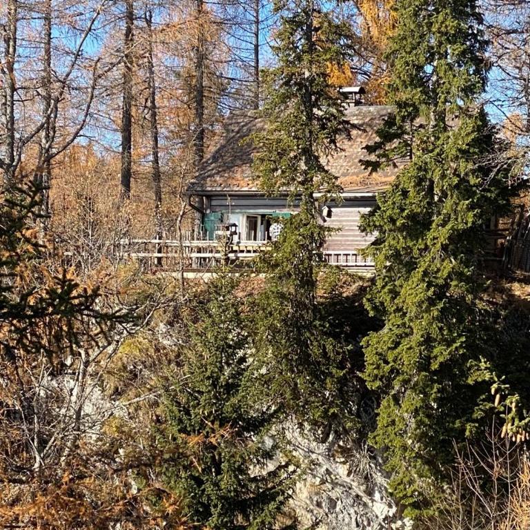 Almhütte Steirische Botschaft - Chalet - 5
