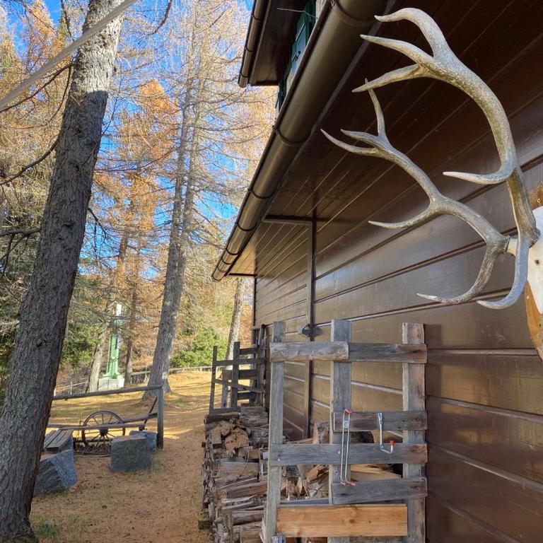 Almhütte Steirische Botschaft - Chalet - 9