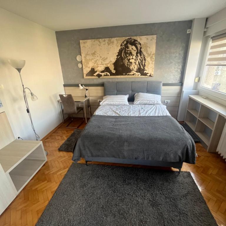 LEO Central Apartment - Apartman sa 1 Spavaćom Sobom - 4
