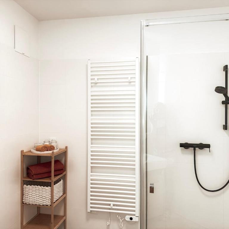 Apartment Sonnenseite mit Balkon in Graz - One-Bedroom Apartment - 8