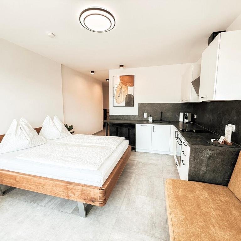Apartment Sonnenseite mit Balkon in Graz - One-Bedroom Apartment - 16