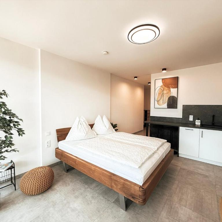 Apartment Sonnenseite mit Balkon in Graz - One-Bedroom Apartment - 19