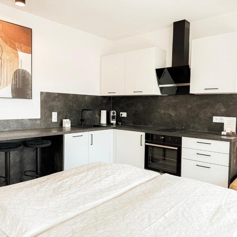 Apartment Sonnenseite mit Balkon in Graz - One-Bedroom Apartment - 25