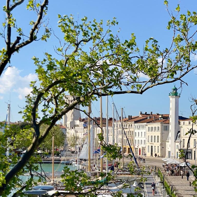 Vue sur le Vieux Port - Appartamento con 1 Camera da Letto - 11
