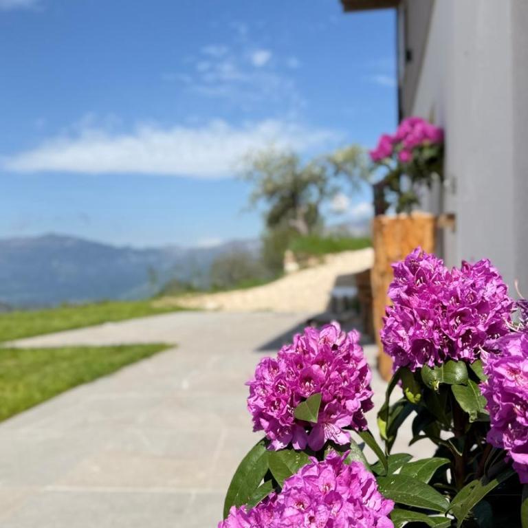 Maso K - Il Gufo Dorato - Apartamento de 2 dormitorios con vistas a la montaña - 47