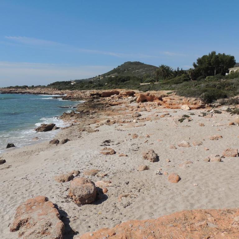 Frente a bahía de Peñiscola - Apartamento de 2 dormitorios - 24