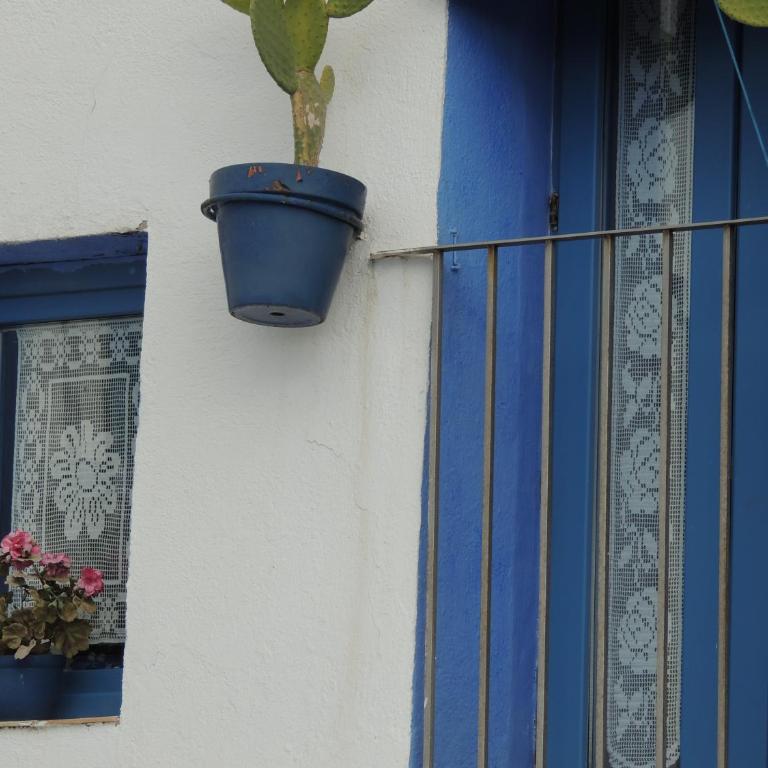 Frente a bahía de Peñiscola - Apartamento de 2 dormitorios - 35