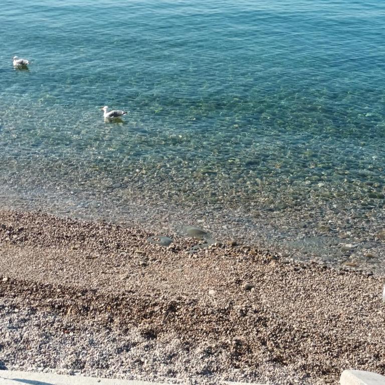 Apartment Trieste Casa Vacanze NATASCIA - Appartamento Familiare con 2 Camere da Letto e Vista - 58