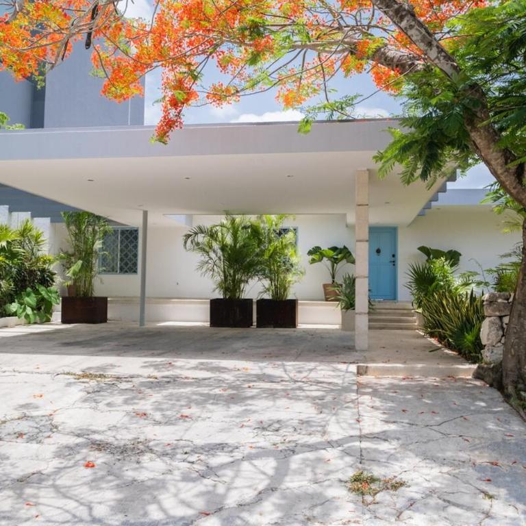 North Beachfront Villa - Villa - 26