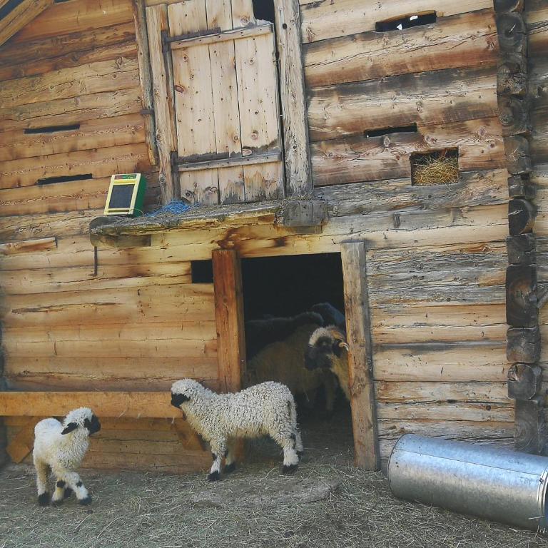 Lonys Wanderlust Nahe Zermatt - Haus mit 2 Schlafzimmern - 58