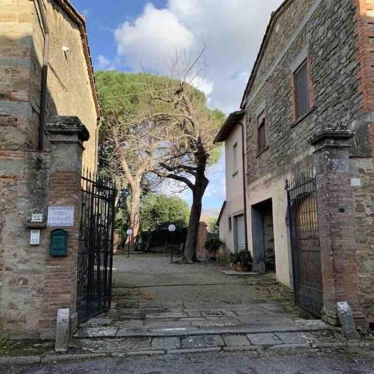 Villa Vivarelli - Villa - 9
