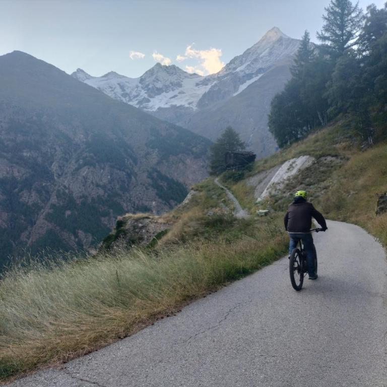Lonys Wanderlust Nahe Zermatt - Haus mit 2 Schlafzimmern - 41