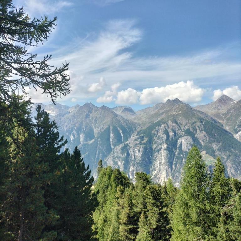 Lonys Wanderlust Nahe Zermatt - Haus mit 2 Schlafzimmern - 46