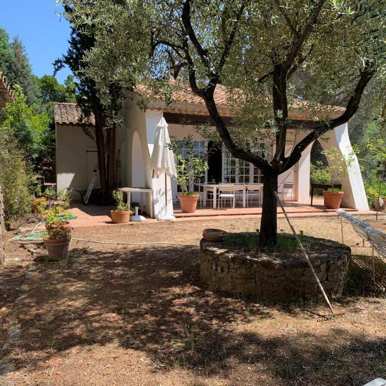 Beautiful house, sea view, access to beach path 7mn - Villa - 15