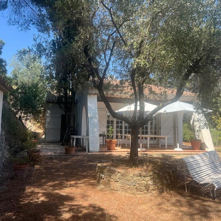Beautiful house, sea view, access to beach path 7mn - Villa - 17