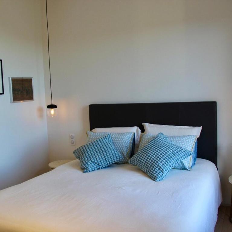Villa Les Jasmins - Le Cannet-Vallauris - Modern with AC, ideal for fun and work - Villa - 59
