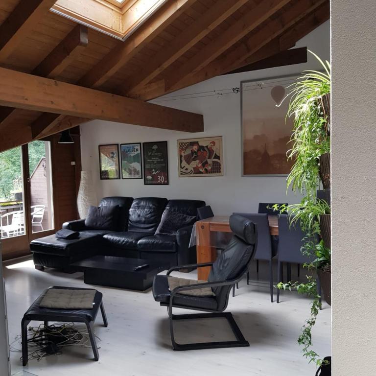 Lauterbrunnen Staubbach Amazing Waterfall View - Apartment mit 3 Schlafzimmern - 4