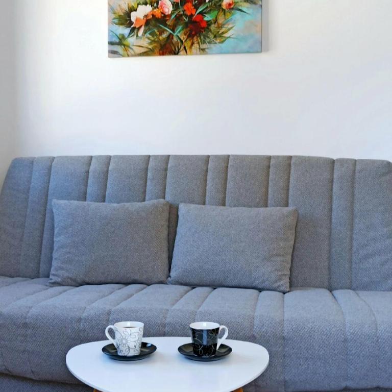 Apartman CENTAR NEVA - Apartman sa 1 Spavaćom Sobom - 8