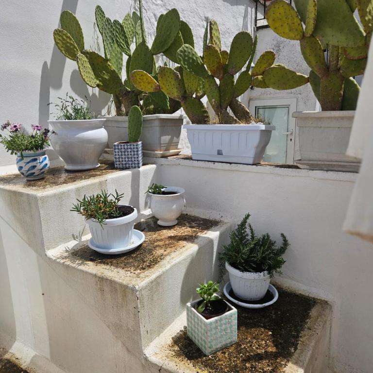 Ostuni Piccola Dimora - Casa Vacanze - 27