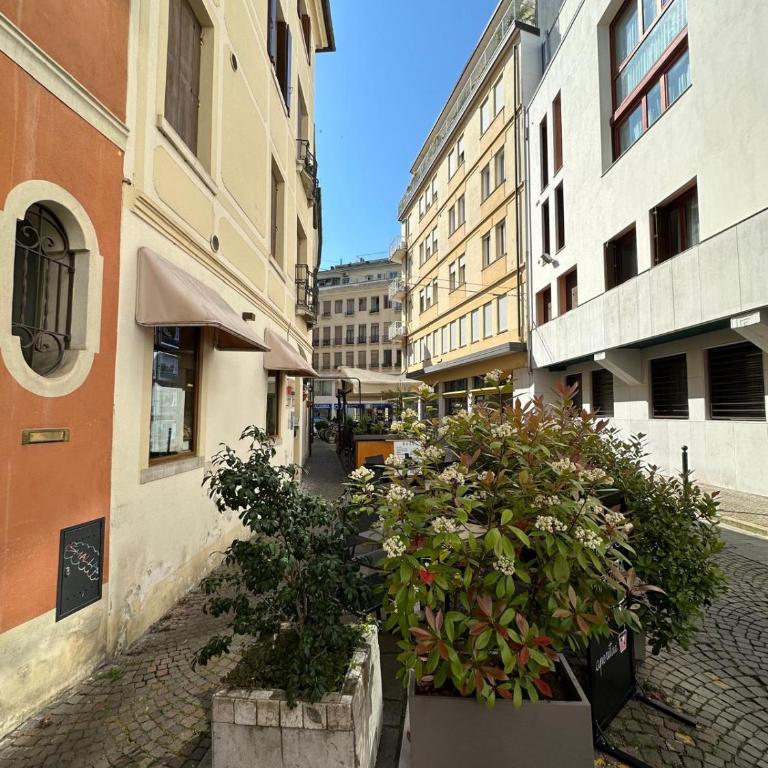 Comfort e Charme nel Cuore di Treviso TV - One-Bedroom Apartment - 47