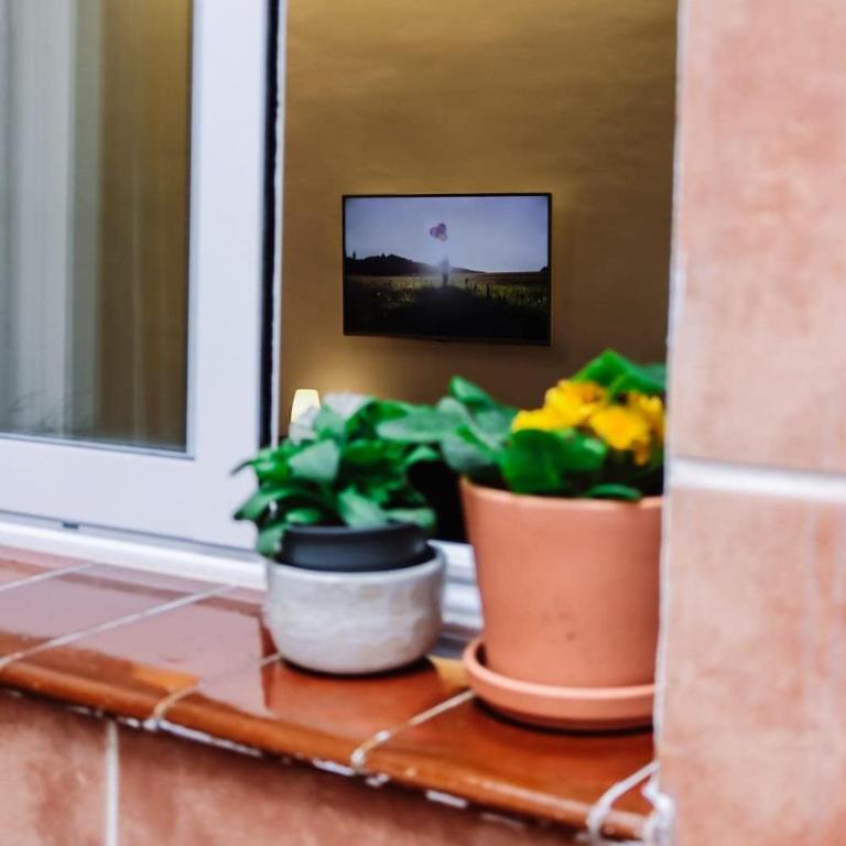 Suite Feria - Apartamento de 1 dormitorio - 9
