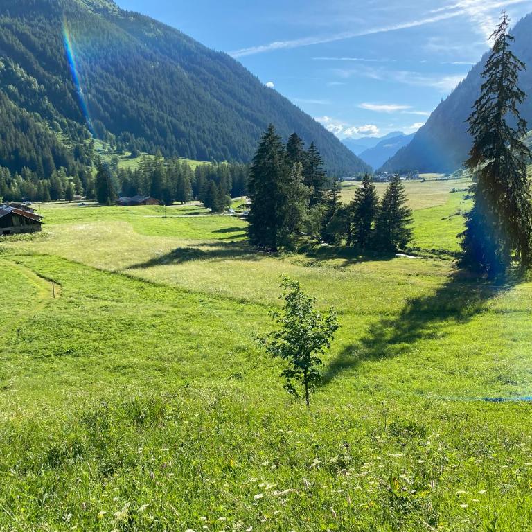 Champagny Les Alpages - Appartement 3 Chambres - 22