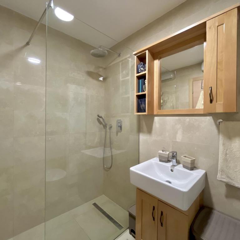 Plaza Apartment - One-Bedroom Apartment - 2