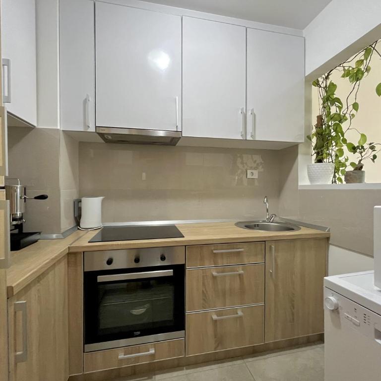 Plaza Apartment - One-Bedroom Apartment - 4