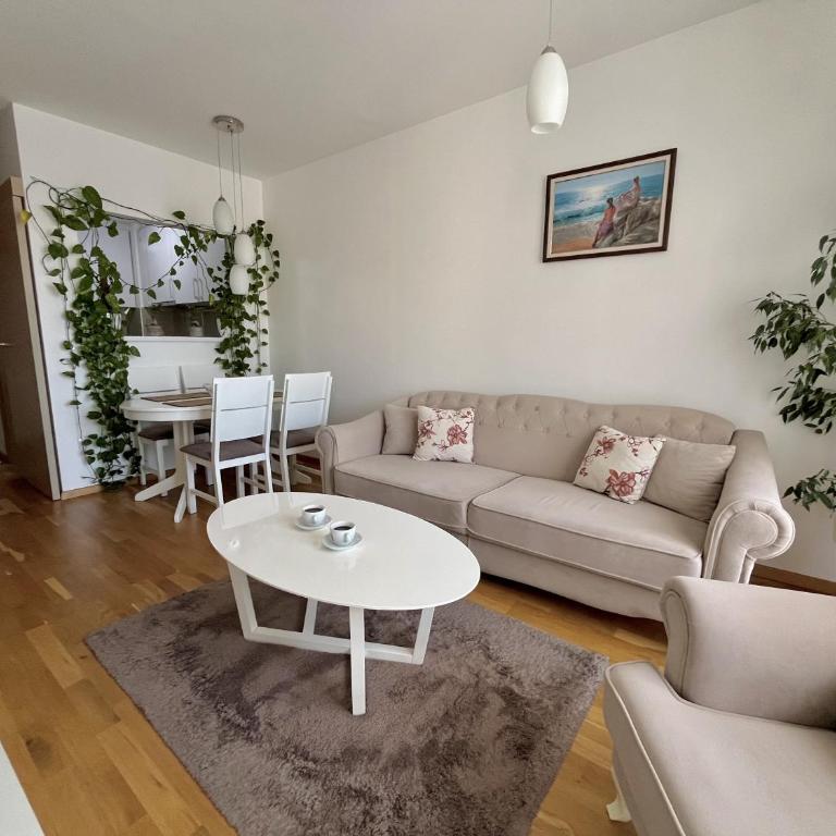 Plaza Apartment - One-Bedroom Apartment - 13